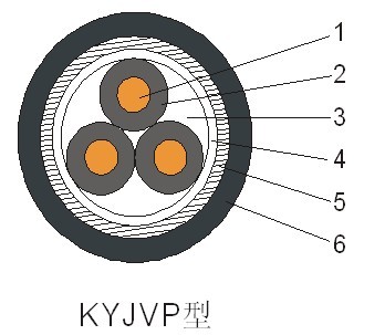 KYJVP|Y(ji)